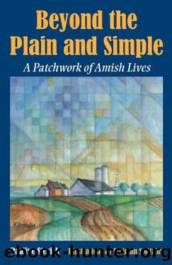 Beyond the Plain and Simple by Pauline Stevick