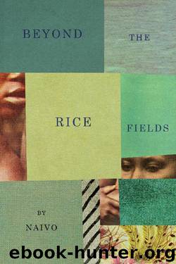 Beyond the Rice Fields by Naivo
