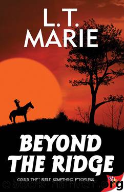 Beyond the Ridge by L.T. Marie