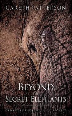 Beyond the Secret Elephants by Gareth Patterson