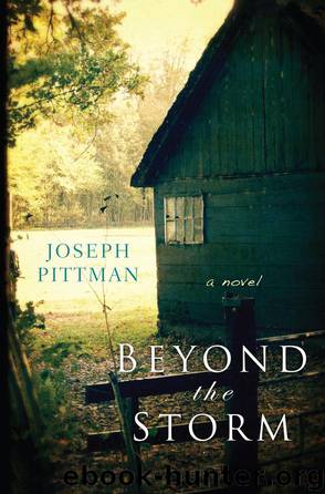 Beyond the Storm (9780758276995) by Joseph Pittman