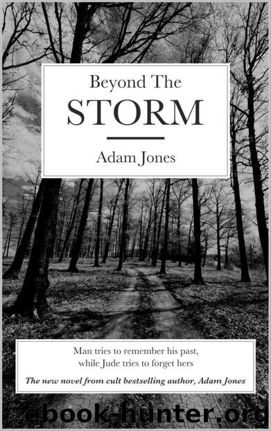 Beyond the Storm by Adam Jones
