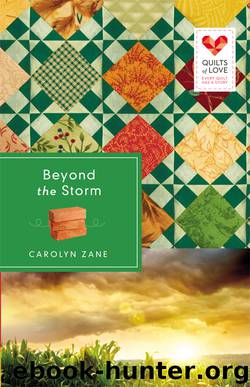 Beyond the Storm by Carolyn Zane
