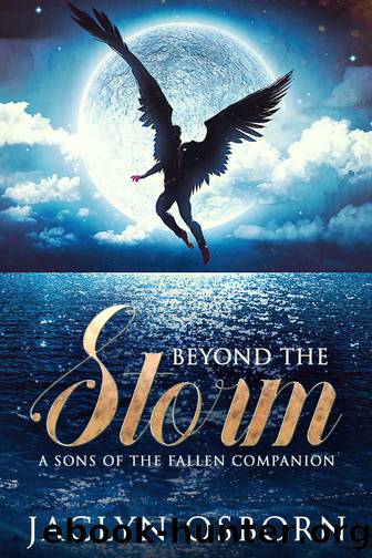 Beyond the Storm: A Sons of the Fallen Companion by Jaclyn Osborn