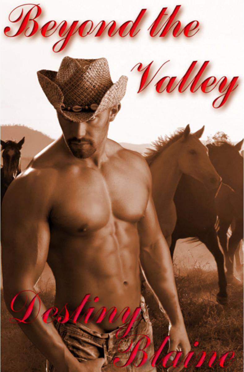 Beyond the Valley by Destiny Blaine