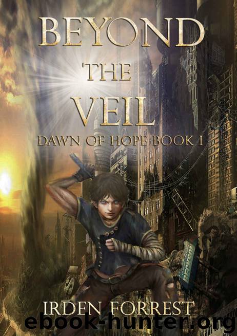 Beyond the Veil (Dawn of Hope, Book 1) by Irden Forrest