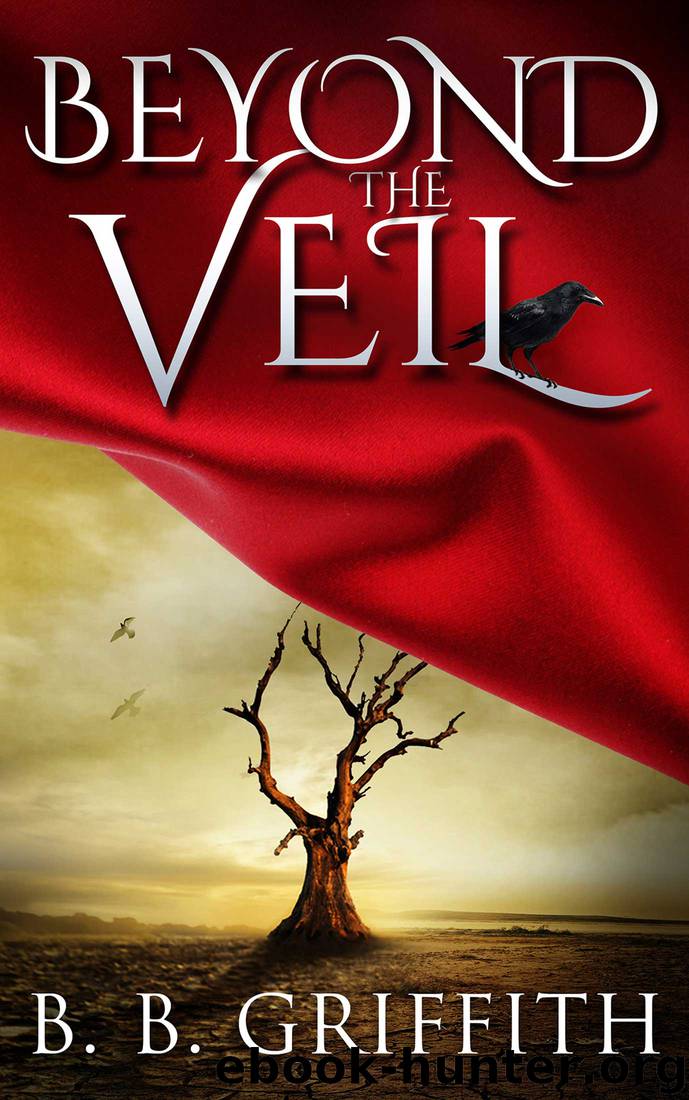Beyond the Veil by B. B. Griffith