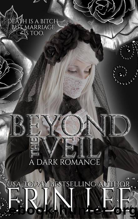 Beyond the Veil by Erin Lee