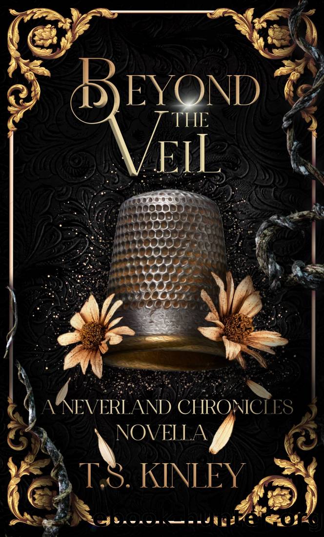 Beyond the Veil by T. S. Kinley