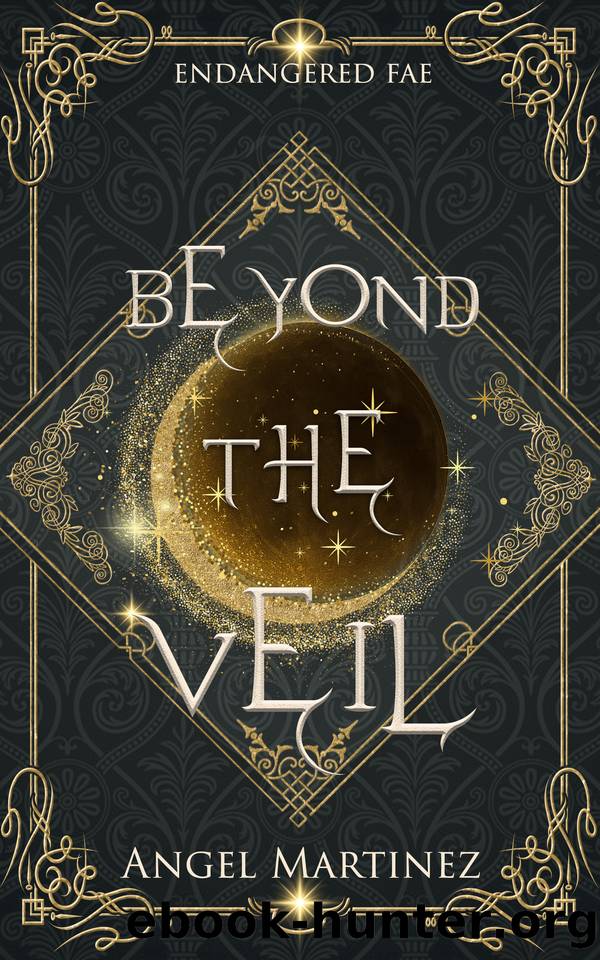 Beyond the Veil: A Gay Romantasy (Endangered Fae Book 4) by Angel Martinez