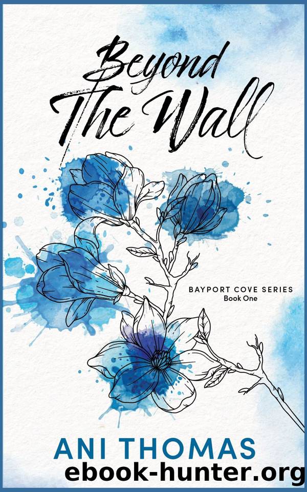 Beyond the Wall (Bayport Cove Book 1) by Ani Thomas