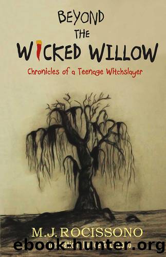 Beyond the Wicked Willow by M.J. Rocissono