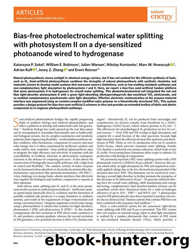 Bias-free photoelectrochemical water splitting with photosystem II on a dye-sensitized photoanode wired to hydrogenase by unknow