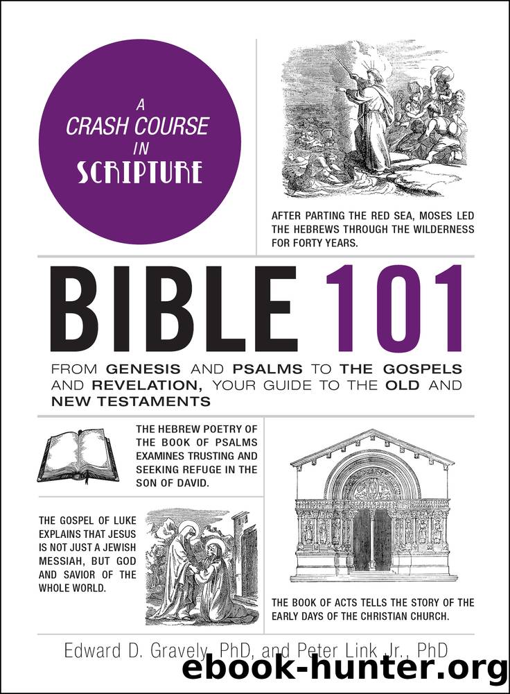 Bible 101 by Edward Gravely & Peter Link