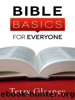 Bible Basics for Everyone by Terry Glaspey