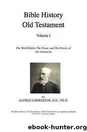 Bible History Old Testament Vol 1 by Alfred Edersheim