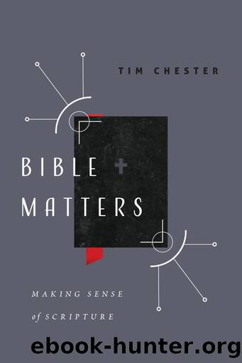 Bible Matters by Chester Tim;