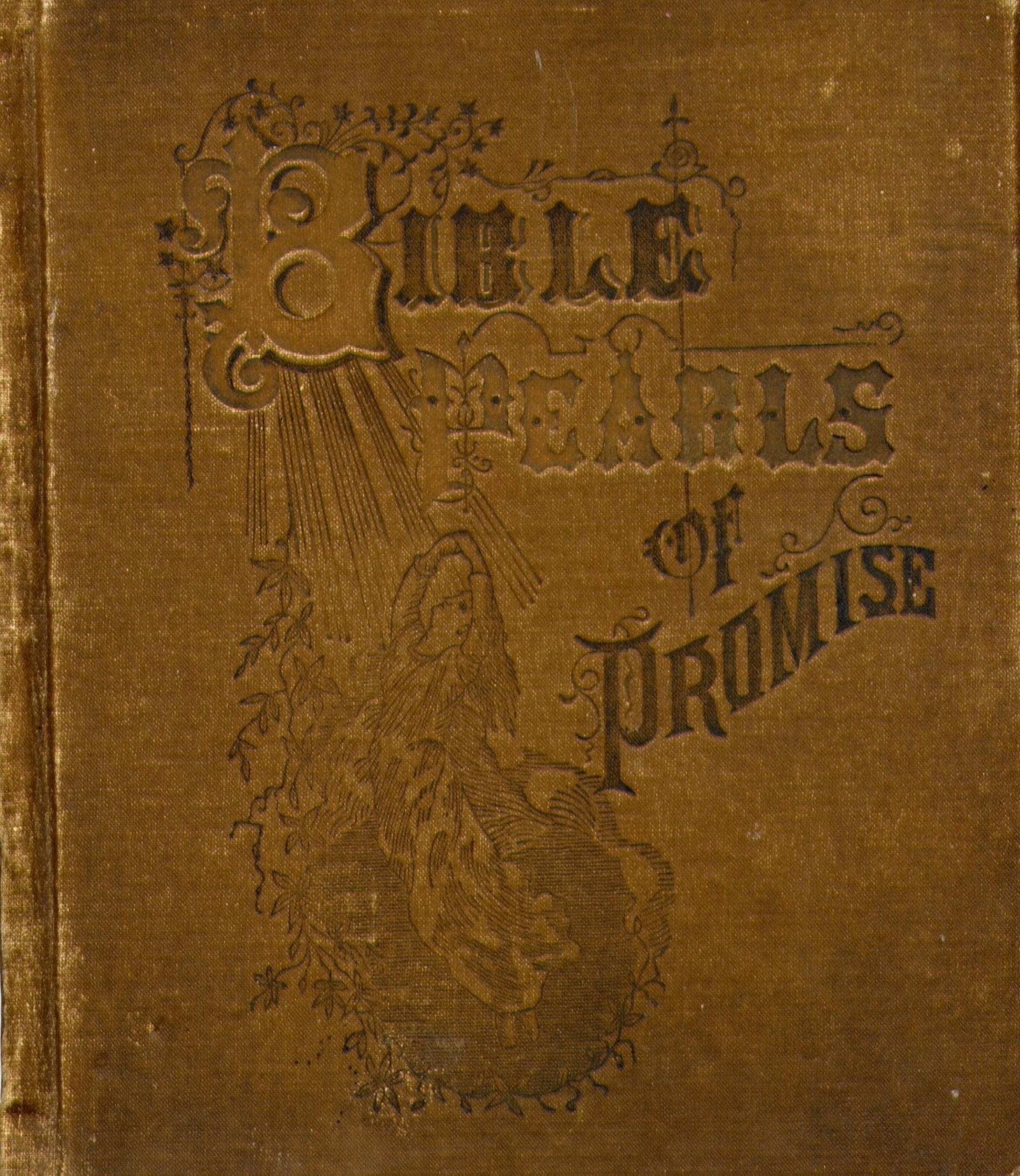 Bible Pearls of Promise by Unknown
