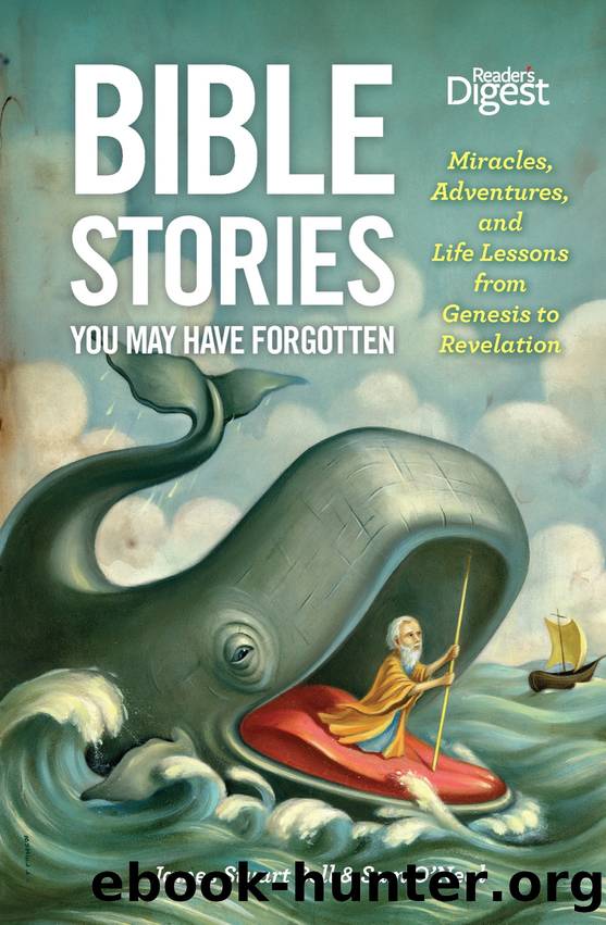 Bible Stories You May Have Forgotten by James Bell