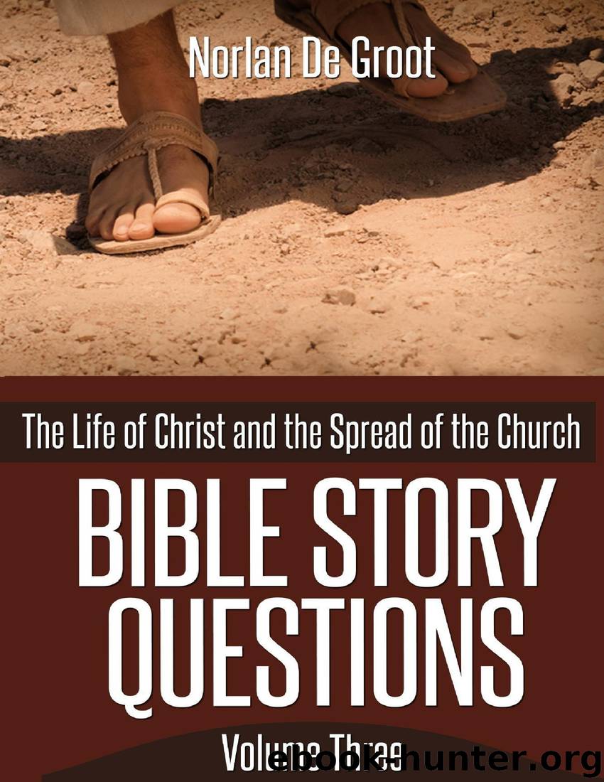Bible Story Questions Volume Three: The Life of Christ and the Spread of the Church by Norlan De Groot