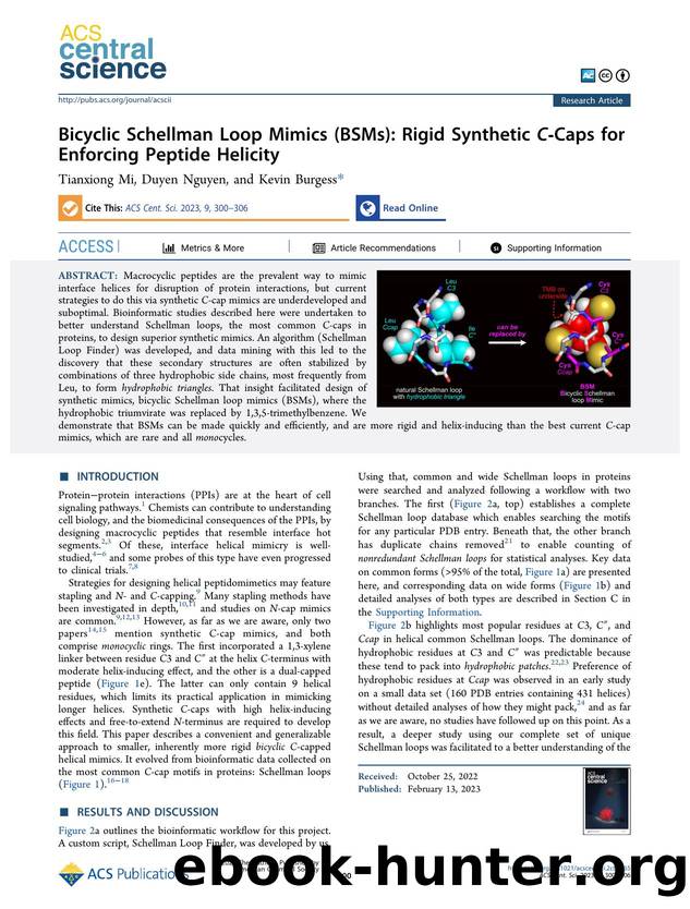 Bicyclic Schellman Loop Mimics (BSMs): Rigid Synthetic CâCaps for Enforcing Peptide Helicity by Tianxiong Mi & Duyen Nguyen & Kevin Burgess (ORCID: g/0000-0001-6597-1842)