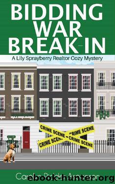 Bidding War Break-In by Carolyn Ridder Aspenson