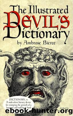 Bierce by The Illustrated Devil's Dictionary (2004)