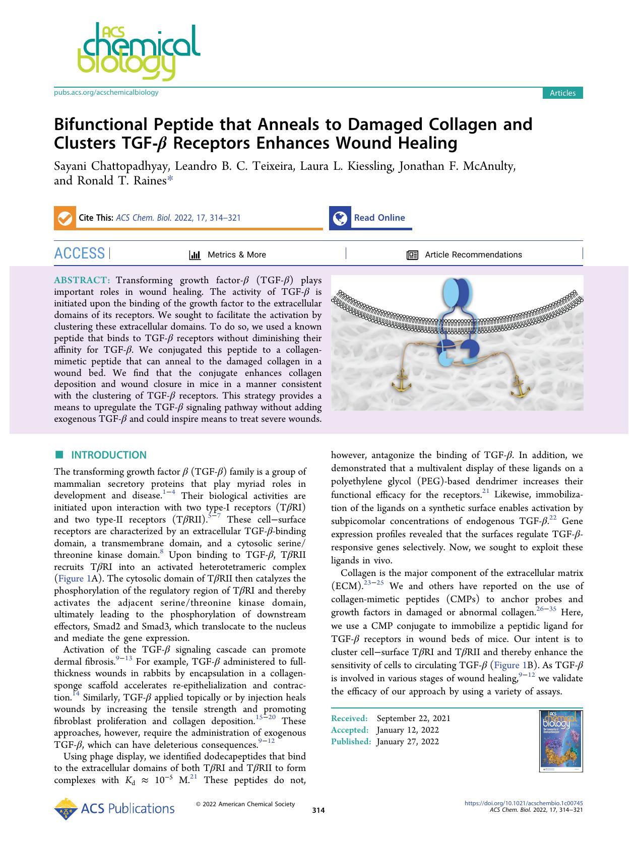 Bifunctional Peptide that Anneals to Damaged Collagen and Clusters TGF-Î² Receptors Enhances Wound Healing by unknow