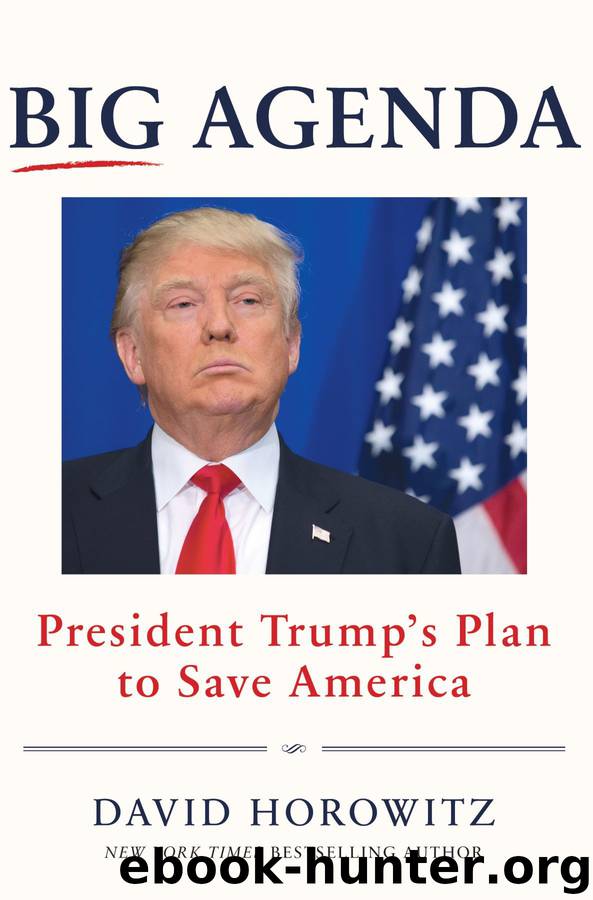 Big Agenda by David Horowitz