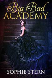 Big Bad Academy by Sophie Stern