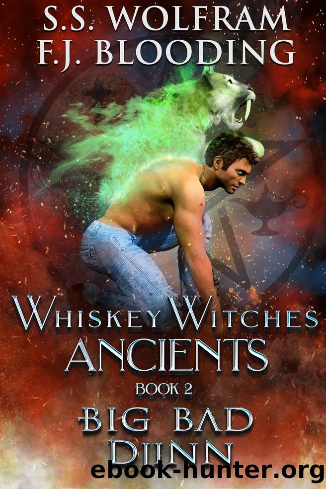 Big Bad Djinn by S.S. Wolfram & F.J. Blooding