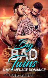Big Bad Twins by Tia Siren