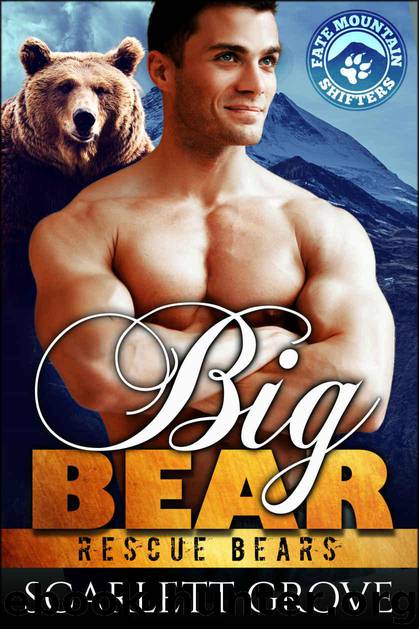 Big Bear (Bear Shifter Paranormal Romance) (Rescue Bears Book 3) by Grove Scarlett