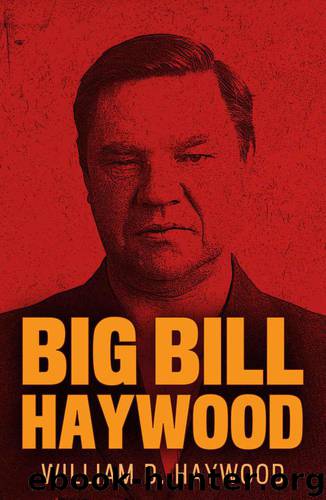 Big Bill Haywood: The Autobiography of William D. Haywood by Haywood William D