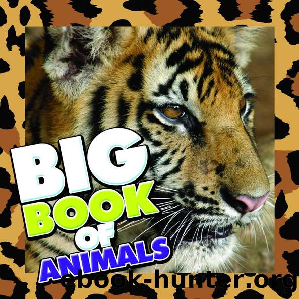 Big Book of Animals (Books For Kids Series) by Speedy Publishing