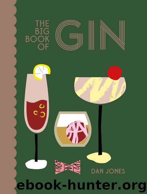 Big Book of Gin by Dan Jones