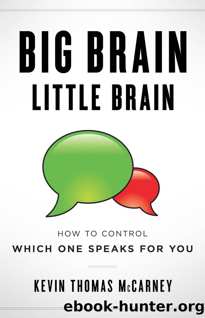 Big Brain Little Brain by Kevin Thomas McCarney