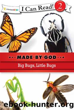 Big Bugs, Little Bugs by Zondervan