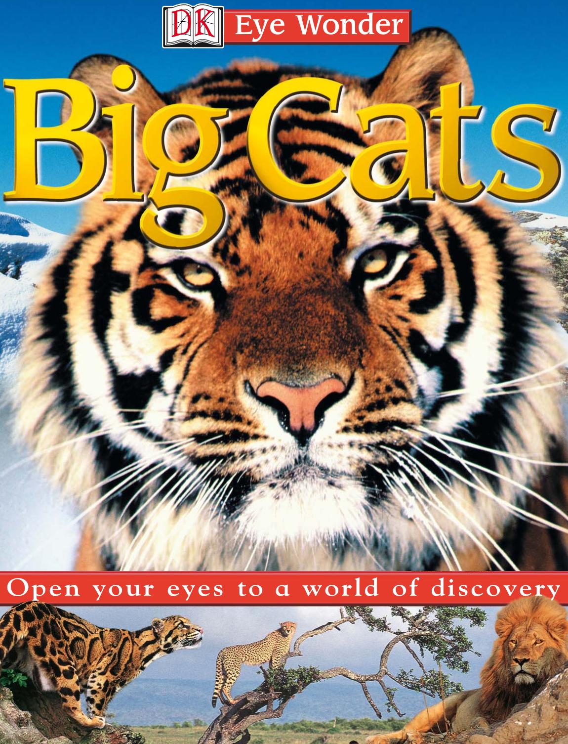 Big Cats (Eye Wonder) Big Cats by Unknow
