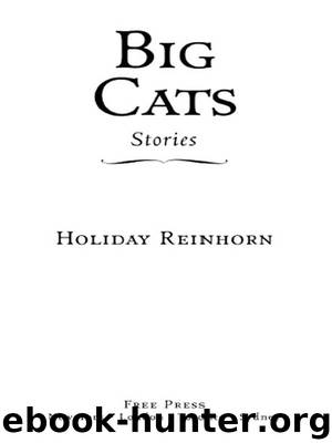 Big Cats by Holiday Reinhorn