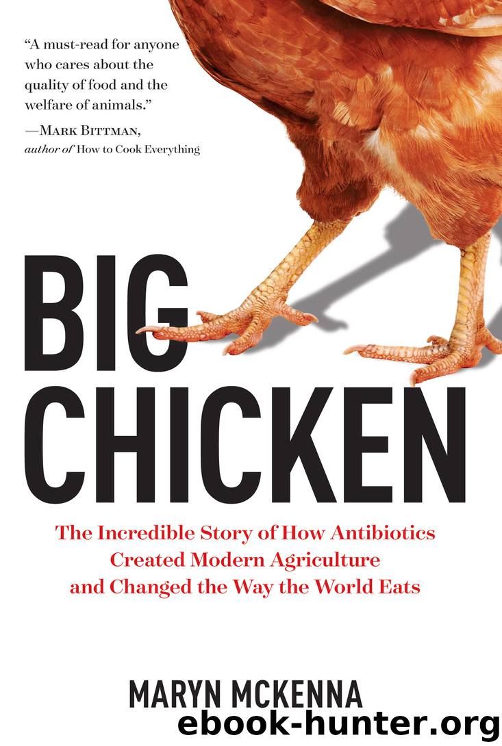 Big Chicken by Maryn McKenna