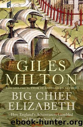 Big Chief Elizabeth: How England's Adventurers Gambled and Won the New World by Milton Giles