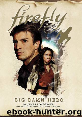 Big Damn Hero by Nancy Holder