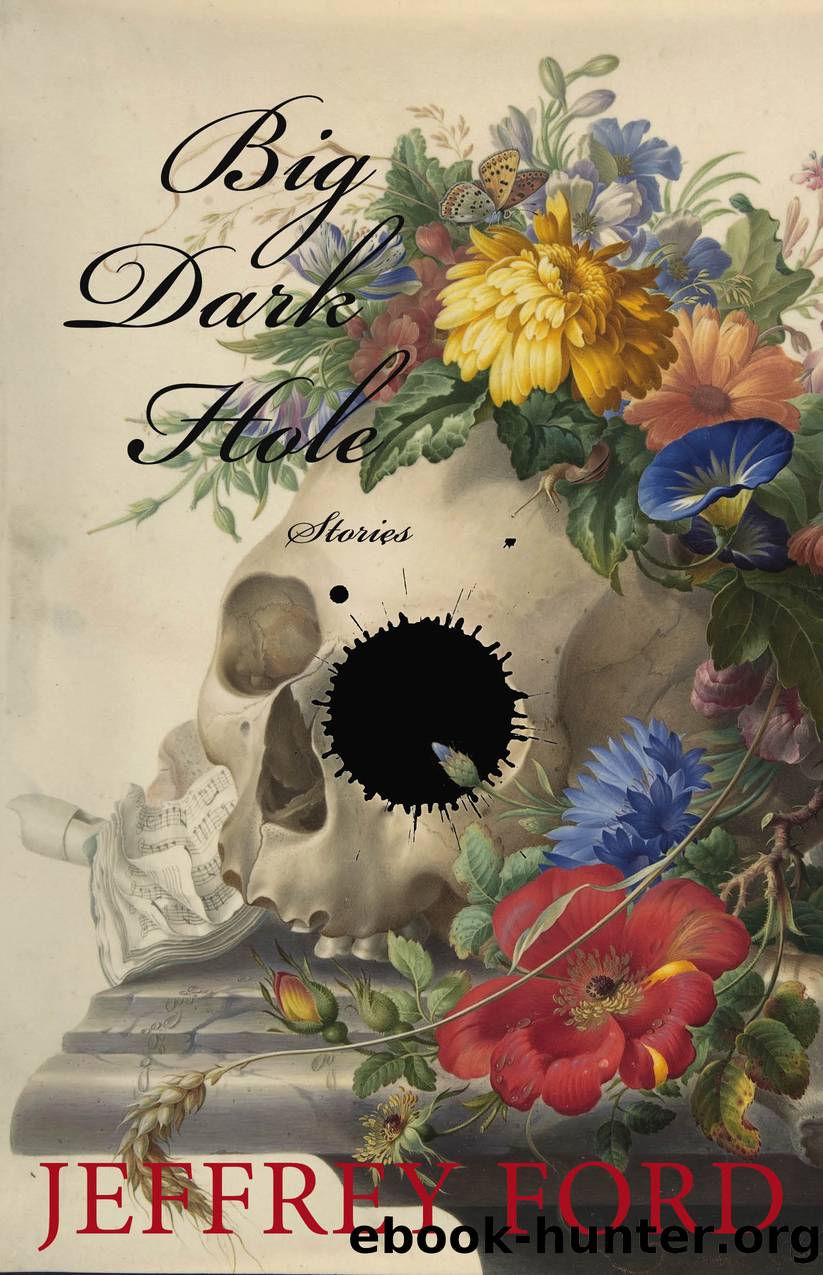 Big Dark Hole by Jeffrey Ford