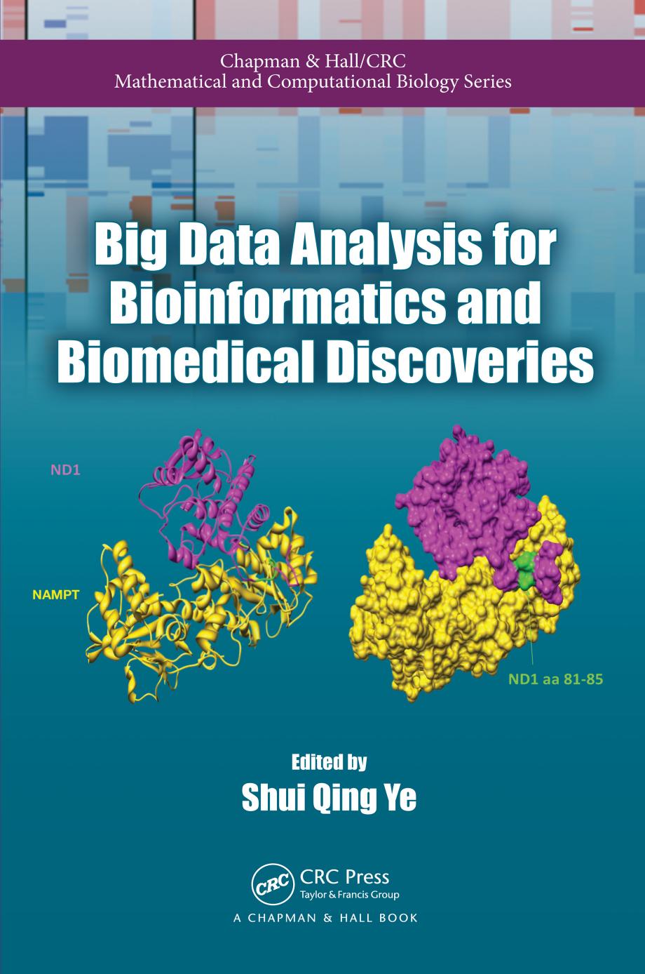 Big Data Analysis for Bioinformatics and Biomedical Discoveries by Ye Shui Qing