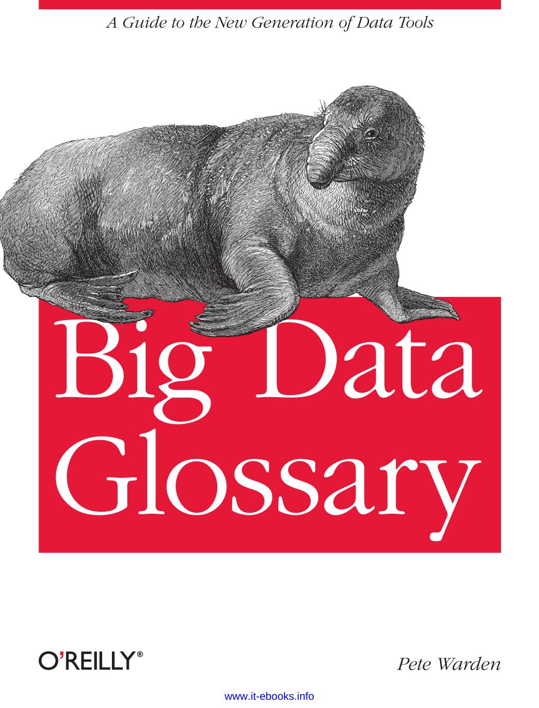 Big Data Glossary by Pete Warden