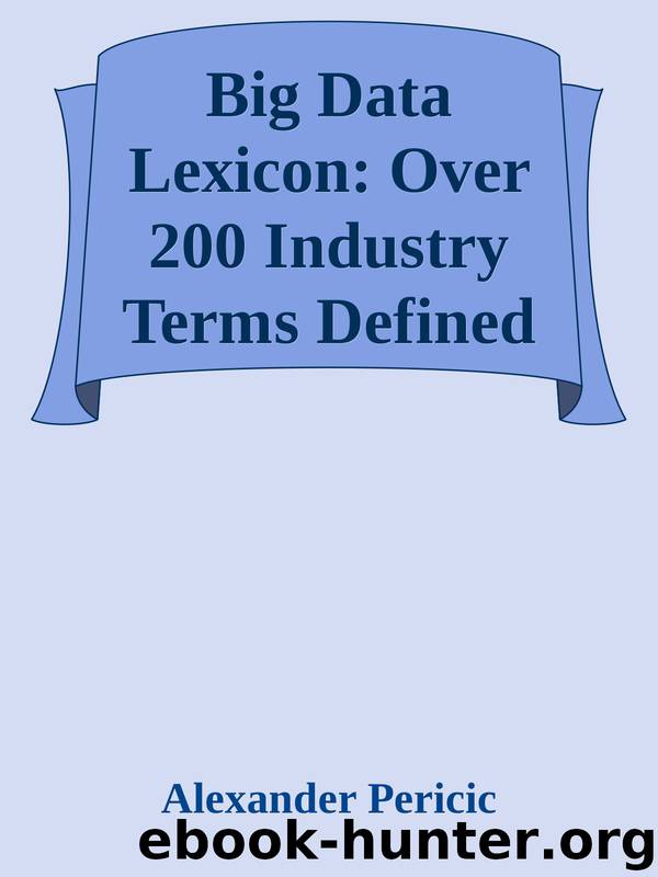 Big Data Lexicon: Over 200 Industry Terms Defined And Demystified With Easy To Understand Definitions by Alexander Pericic