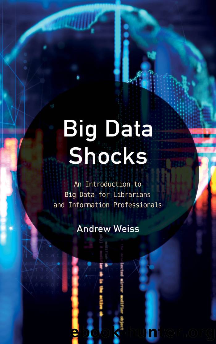 Big Data Shocks by Weiss Andrew;