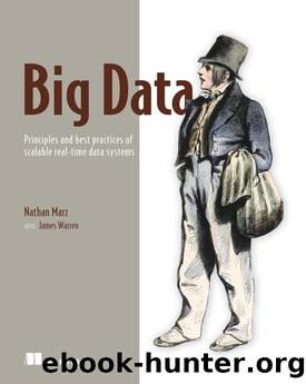 Big Data: Principles and Best Practices of Scalable Realtime Data Systems by Nathan Marz & James Warren