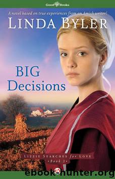Big Decisions by Linda Byler
